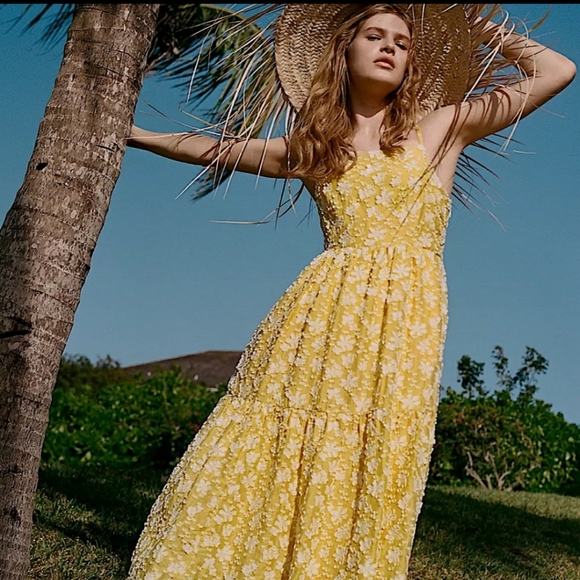 Anthropologie Dresses & Skirts - Maeve by Anthropologie Rhonda Floral Textured Midi Dress